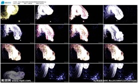 抒情极品意境背景演唱会晚会背景