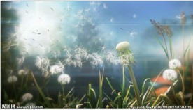 蒲公英飘散动画场景