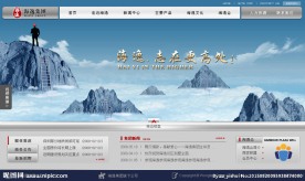 集团类FLASH网站首页