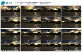 荷塘月色夜色中的莲池白莲花实拍