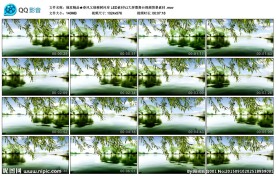春风又绿柳树河岸LED素材VJ