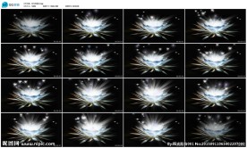 发光的莲花佛家佛教演出LED