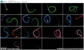 蝴蝶飞飞酒吧夜店LED背景视频