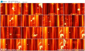 万圣节幽灵南瓜恐怖类LED背景