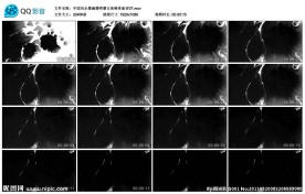 中国风水墨滴墨喷墨古典VJ素材