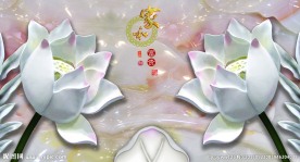 玉雕荷花 源分层