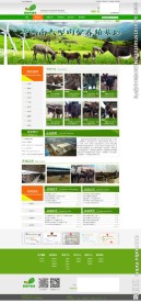 养殖场网站效果图