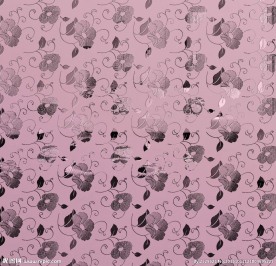 美人花粉色镜  移门图案