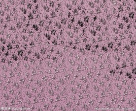 梦里花都  粉色镜子