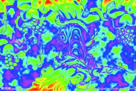 大槐树抽象手绘