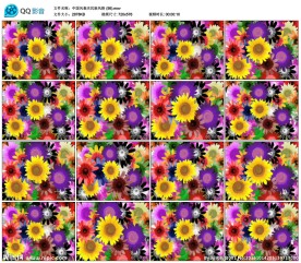 各类花朵视频歌舞晚会舞台演出