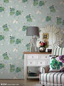 墙纸效果图
