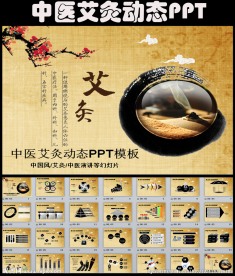 水墨中国风中医中药艾灸PPT