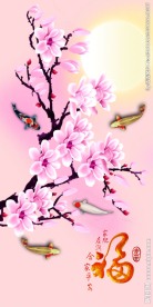 玉兰花