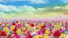 美丽花海花瓣流云民族歌曲LED