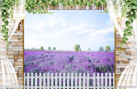 3D壁画薰衣草