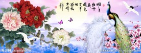 孔雀牡丹图
