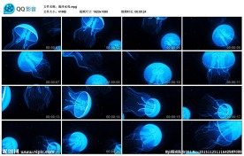 海洋水母水族馆背景舞台演出背景