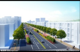 交通南路绿化改造