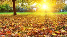 清晨的第一抹阳光