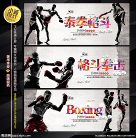 拳击 格斗 泰拳