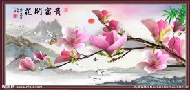 玉兰花