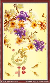 玉兰花