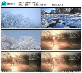 自然雪景寒冷冬天