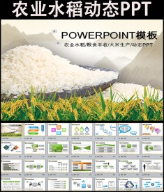 稻子大米粮食加工农业丰收PPT