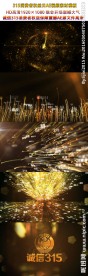 315维权誓师大会诚信晚会片头