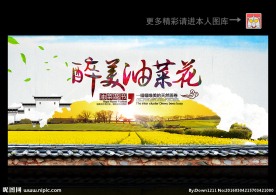 油菜花