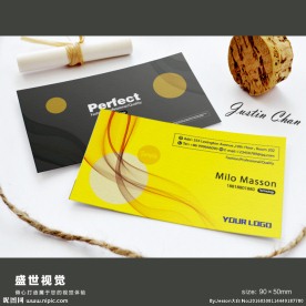 高档名片 时尚简约名片设计