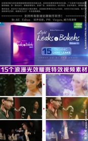 15个浪漫光效耀斑视频素材