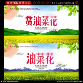 赏油菜花 油菜花海报