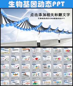生物DNA基因PPT模板