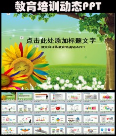 微笑向日葵教育读书培训PPT