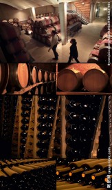 葡萄酒酒窖储酒库实拍视频素材