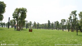 重庆城市公园绿化高清镜头