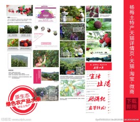 杨梅土特产详情页