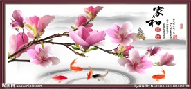玉兰花