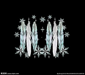 炫丽酷彩色的羽毛