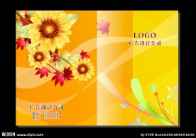 火红向阳花 封面