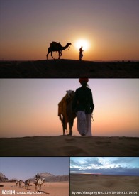 沙漠黄昏骆驼