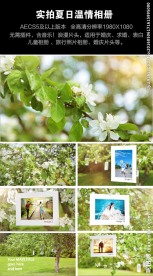 唯美夏日温情婚庆相册