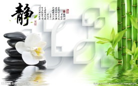 百合黑石万年青异形格书法PSD