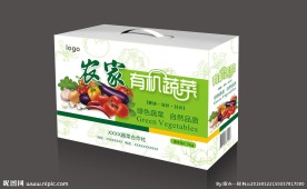 蔬菜包装盒(平面图）