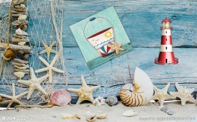 现代简约海星贝壳背景墙