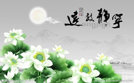 宁静致远荷花背景墙