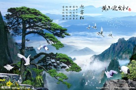 松鹤延年中式背景墙