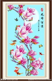玉兰花